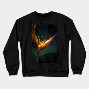 Sunlit Orange Yellow Heliconia Flower Crewneck Sweatshirt